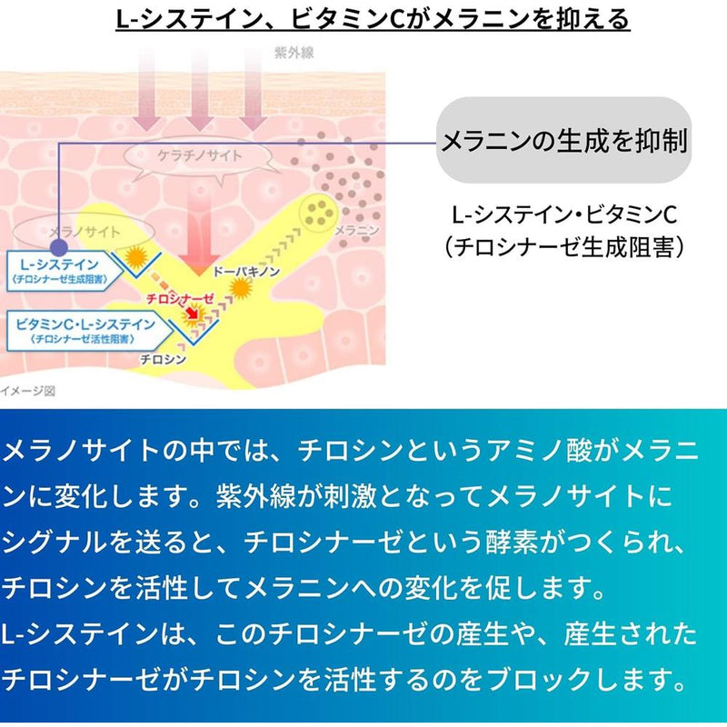 【第3類医薬品】トランシーノホワイトCクリア  60錠