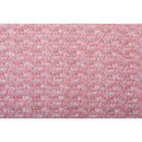 Daiichi Sankyo Health Care Minon Gently Wash Weakly Acidic Towel 1 sheet