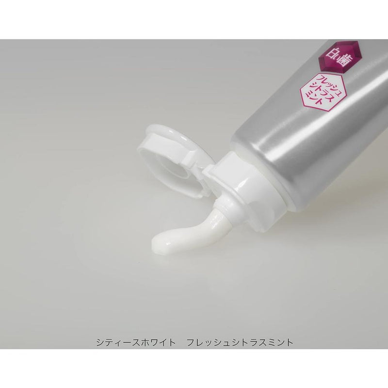 [医药部外品] DAIICHI SANKYO HEALTHCARE 都市白不锈钢护理 110g