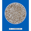 【第2類医薬品】第一三共胃腸薬 細粒s 60包