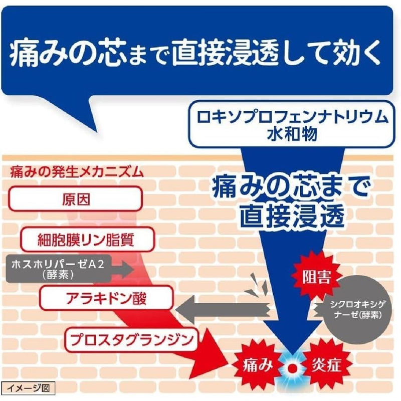 [第 2 类药品] 第一三共 Loxonin EX Tape Ri0 [遵守自我药疗税收制度]