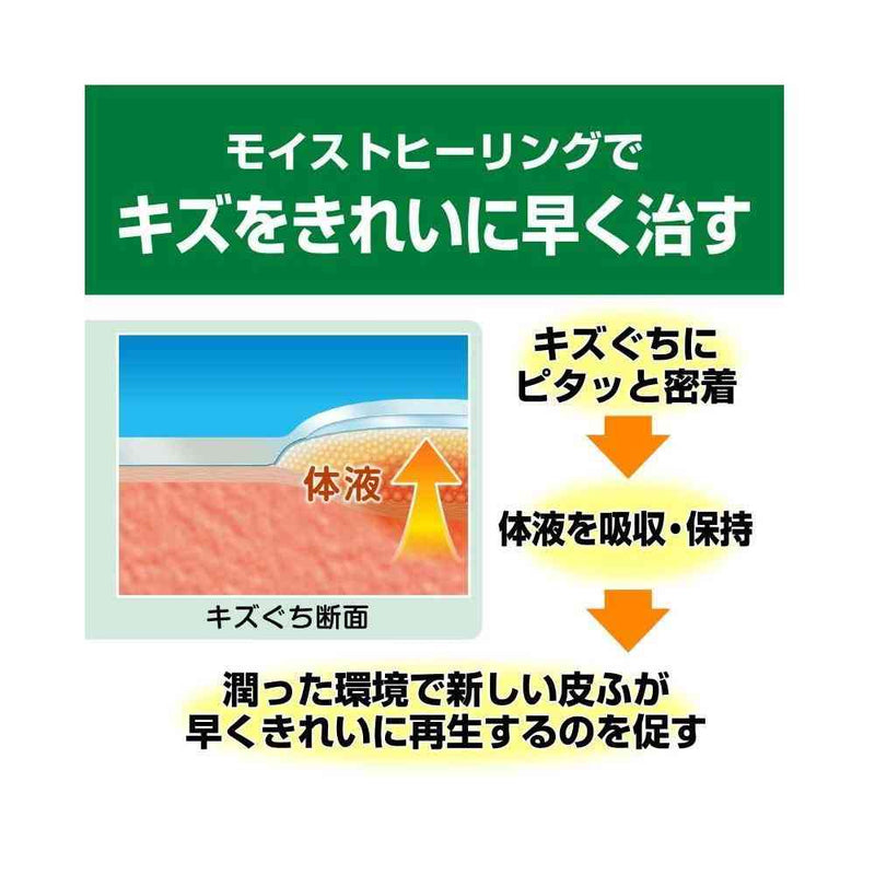 ニチバン ケアリーヴ治す力 CN9L L‐9枚