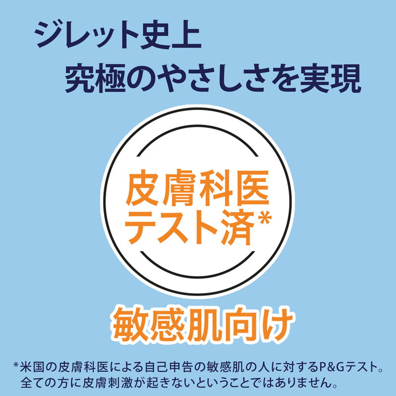 P＆G ジレット スキンガードマニュアル5Bホルダー付 替刃6個付