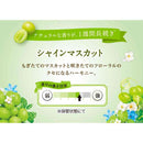 P&G レノアハピネス 夢ふわタッチ シャインマスカットの香り  詰替 増量サイズ 500mL