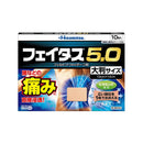 [Second-class OTC drug] Faitas 5.0 Large size 10 sheets [Self-medication tax system target]