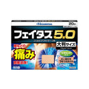 [Second-class OTC drug] Faitas 5.0 Large size 20 sheets [Self-medication tax system target]