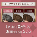 Hoyu Cielo Color Treatment 深棕色 230g