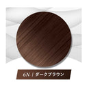 【医薬部外品】ビゲン 泡クリームカラー6N1剤 50g + 2剤 40g + アフターカラー美容液 5ml