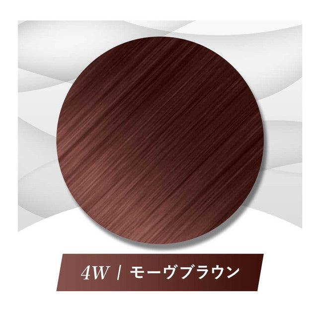 【医薬部外品】ビゲン 泡クリームカラー4W1剤 50g + 2剤 40g + アフターカラー美容液 5ml