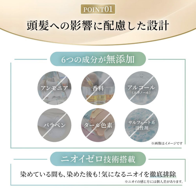 医薬部外品】ホーユー ビゲン リピカラー 2N より明るい自然なブラウン
