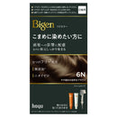 【医薬部外品】ホーユー ビゲン リピカラー 6N やや暗めな自然なブラウン 1剤 40g + 2剤 40g