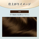 【医薬部外品】ホーユー ビゲン リピカラー 6N やや暗めな自然なブラウン 1剤 40g + 2剤 40g