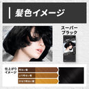 【医薬部外品】ホーユー ビューティーントーンダウンカラー スーパーブラック