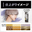Hoyu Viewtain Point Color Cream 水晶银