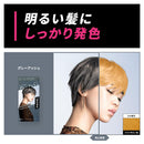 【医薬部外品】ホーユー ビューティーン メイクアップカラー グレーアッシュ