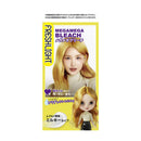 ヘンケルジャパン フレッシュライト メガメガブリーチ 25g+83ml+22g+15g