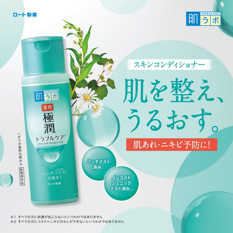 [Quasi-drug] ROHTO Hada Labo Medicated Gokujun Skin Conditioner Refill 170ml