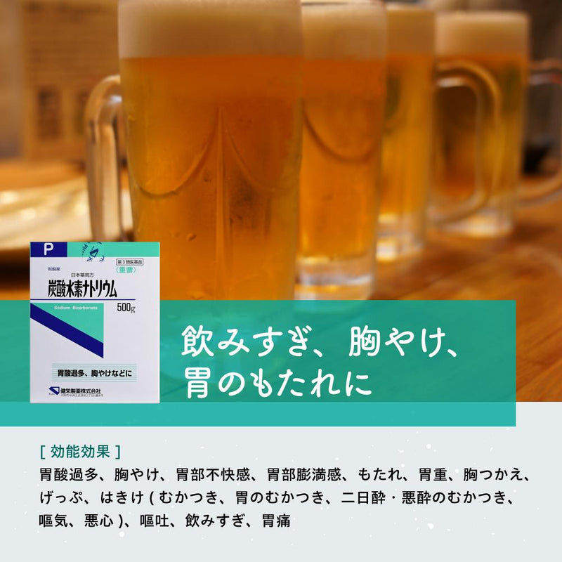 【第3類医薬品】健栄 炭酸水素ナトリウムP 500g