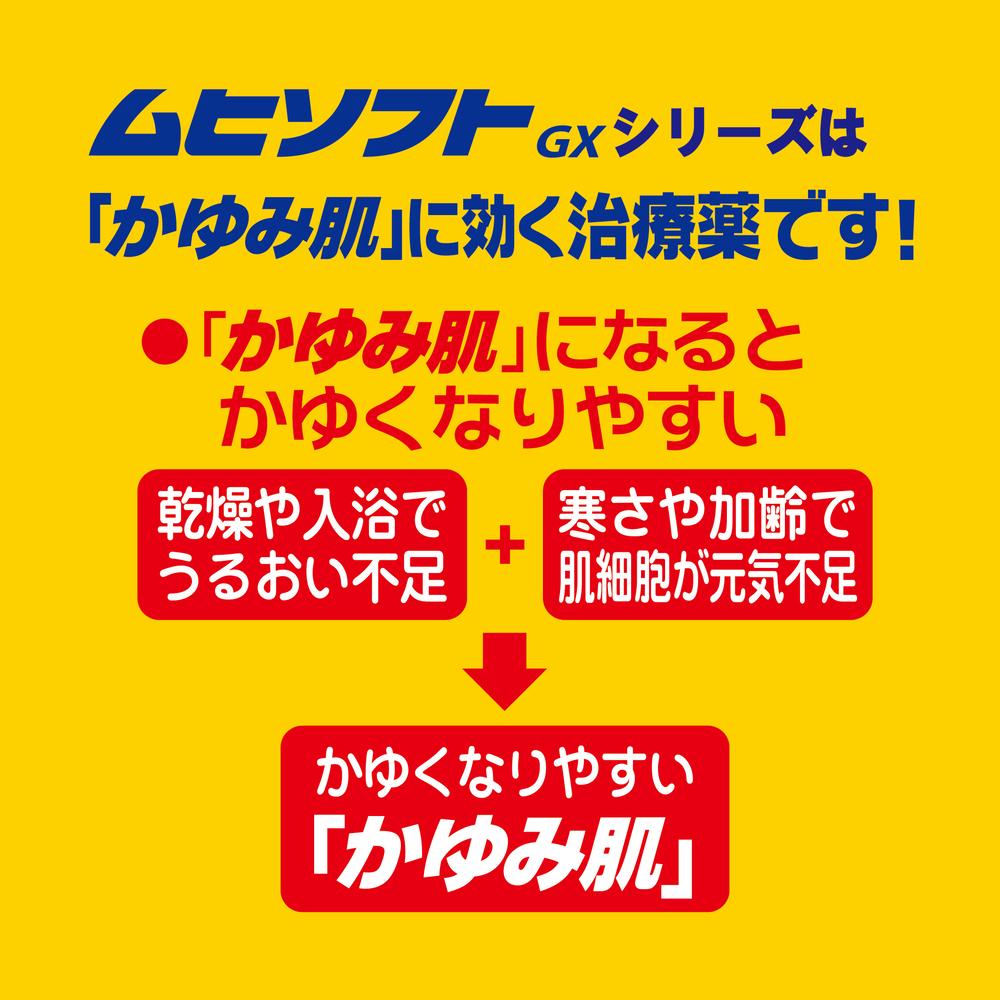 第3類医薬品】かゆみ肌の治療薬 ムヒソフトGX乳状液 120ml ☆
