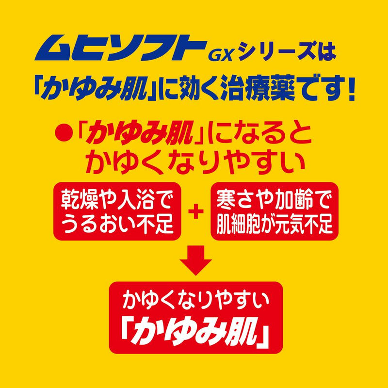 【第3類医薬品】かゆみ肌の治療薬 ムヒソフトGX乳状液 120ml ★