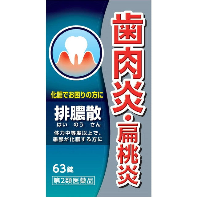 【第2類医薬品】排膿散エキス錠J 63錠