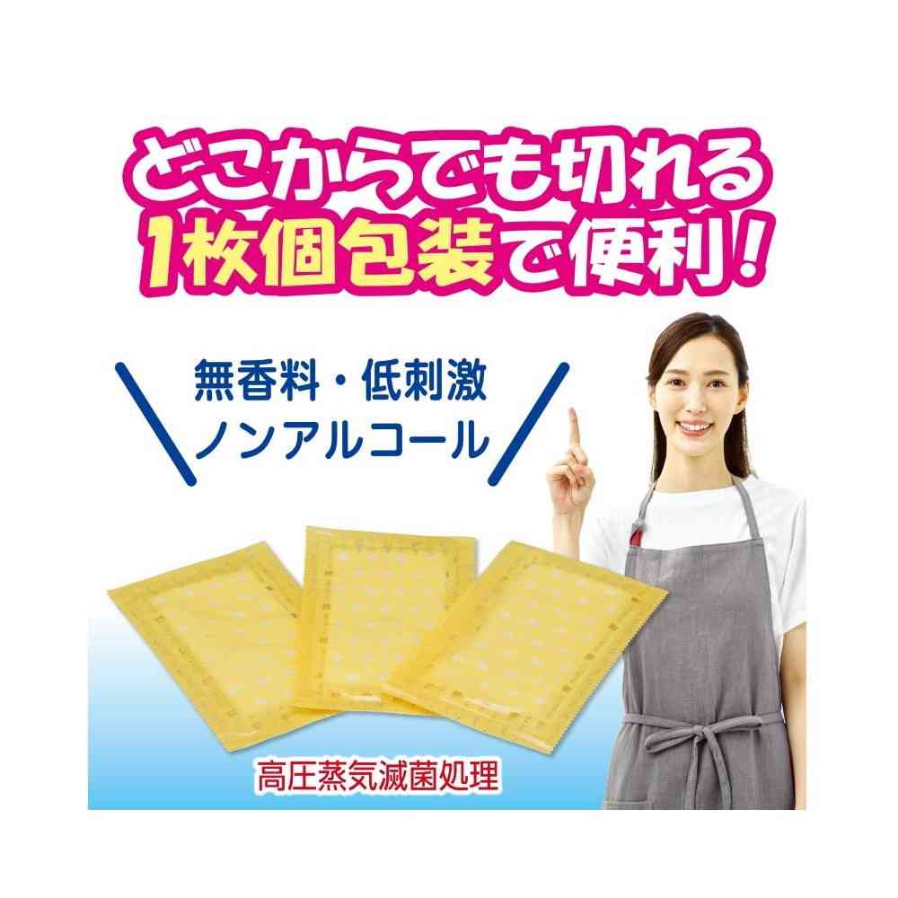 医薬部外品】白十字 FC 清浄綿A2 100包入