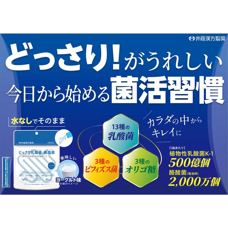 ◆井藤漢方 どっさり乳酸菌と酪酸菌 2gX24袋