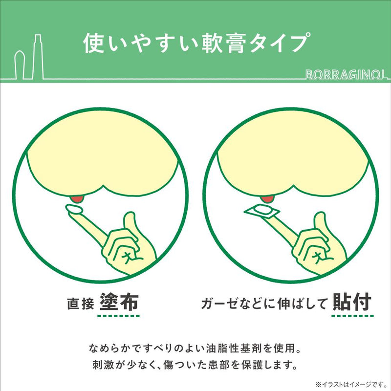 [Class 2 drug] Boraginol M ointment 20g