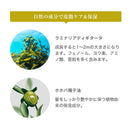 ヤマサキ ラサーナ 海藻海泥シャンプー 詰め替え 380ml