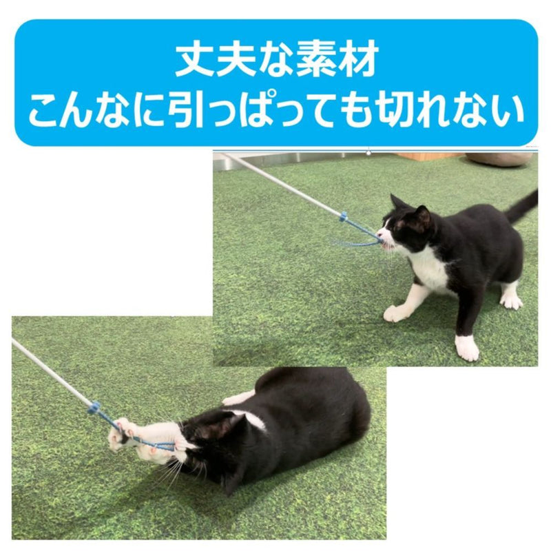 アース・ペット株式会社ＴＫ ねこモテ しっぽぷるんじゃらし／青