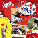 アース・ペット株式会社TK ねこモテ しっぽぷるんじゃらし／青