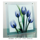 X RAY ガラス アート チューリップ イマジン Mサイズ 【直送品】 返品・キャンセル・他商品と同時購入は不可