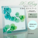 X RAY ガラス アート ユーカリ Mサイズ XR-05010 【直送品】 返品・キャンセル・他商品と同時購入は不可
