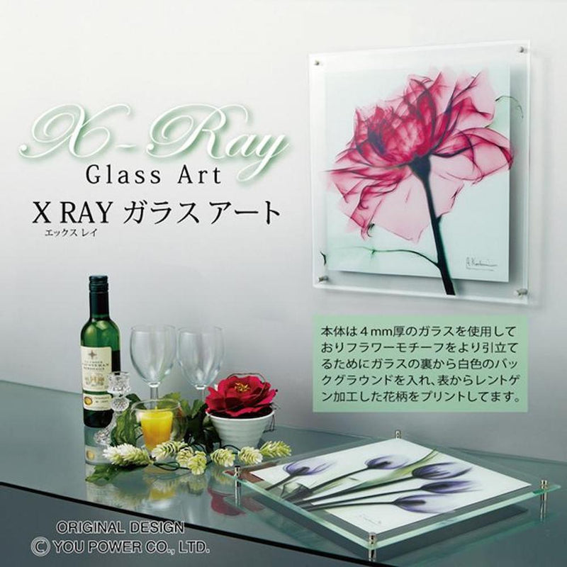 X RAY ガラス アート M 「カラフルユーカリ」 【直送品】 返品
