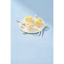 ◆【お歳暮限定】ザ・スウィーツ 日本の柑橘シャーベット（9個）◇メーカー直送 ▼返品・キャンセル不可【他商品との同時購入不可】