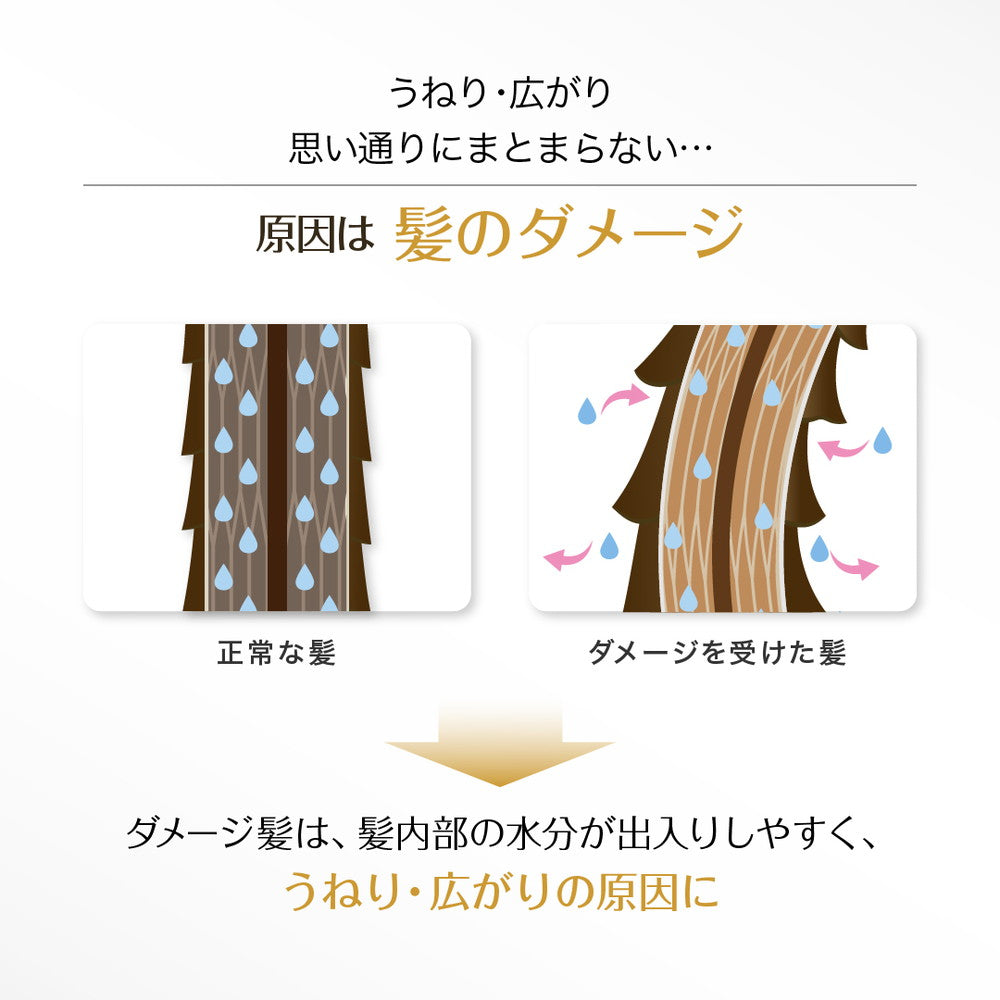 エルセーヴ EXオーディナリー オイル エクストラリッチ エルセーヴ EXオーディナリー オイル エクストラリッチ