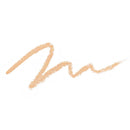 ザ・セム チップコンシーラーペンシル1.5 ナチュラルベージュ2.5g