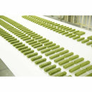 デンティ3フェアリーEX SS  20本／120g