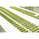 デンティ3フェアリーEX S  14本／120g