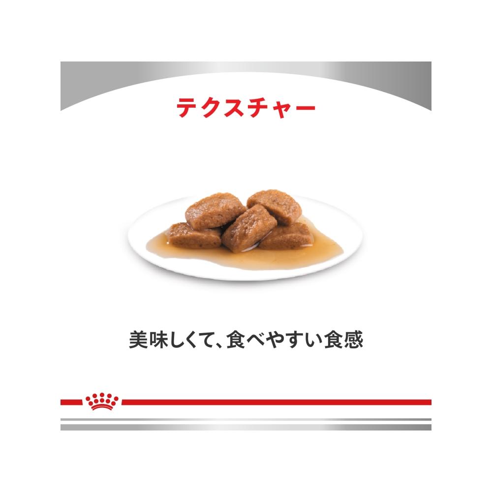 ロイヤルカナン ユリナリーS/O パウチ 犬用 食事療法食 100g×36袋 犬用 ユリナリーS/O パウチ 100g×12