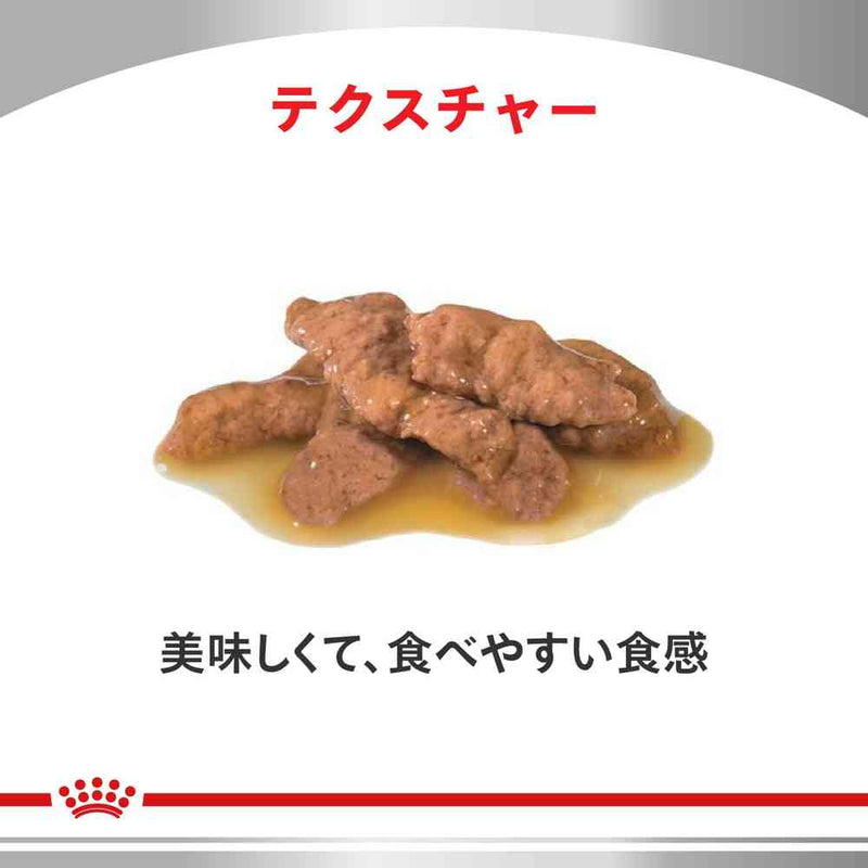 猫用 ユリナリーS/O + エイジング7+ + CLT パウチ 85g×12