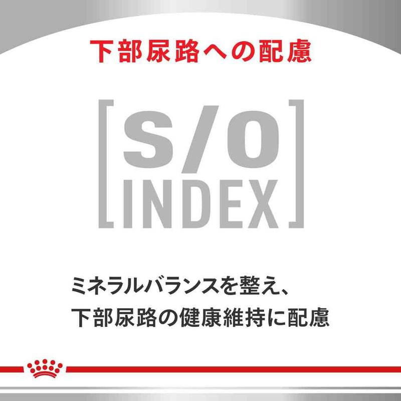 猫用 早期腎臓サポート パウチ 85gx12x2