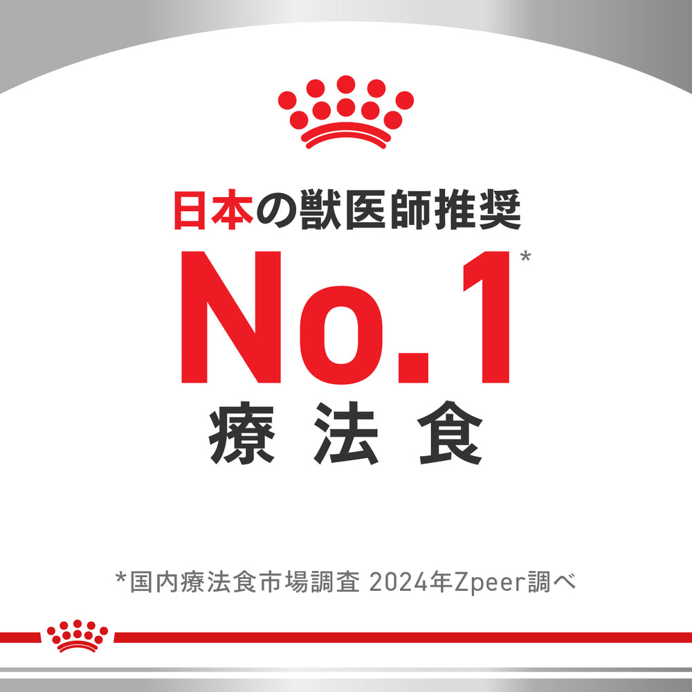 猫用 腎臓サポート ローフ 85gx12x2