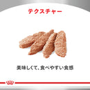 猫用 腎臓サポート ローフ パウチ 85g×12