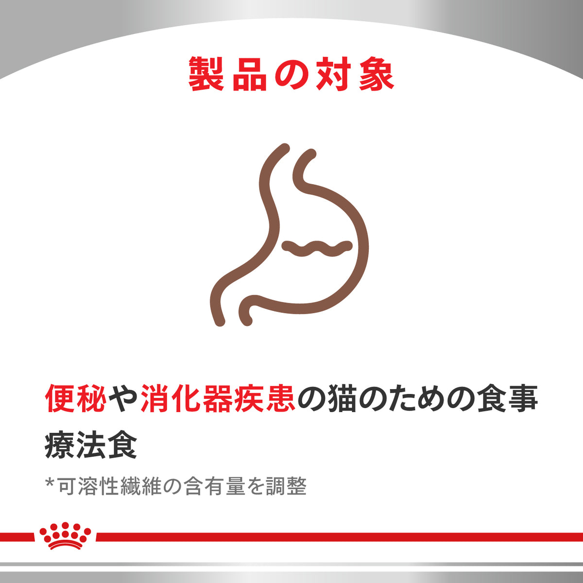 猫用 消化器サポート 可溶性繊維 パウチ 85g×12
