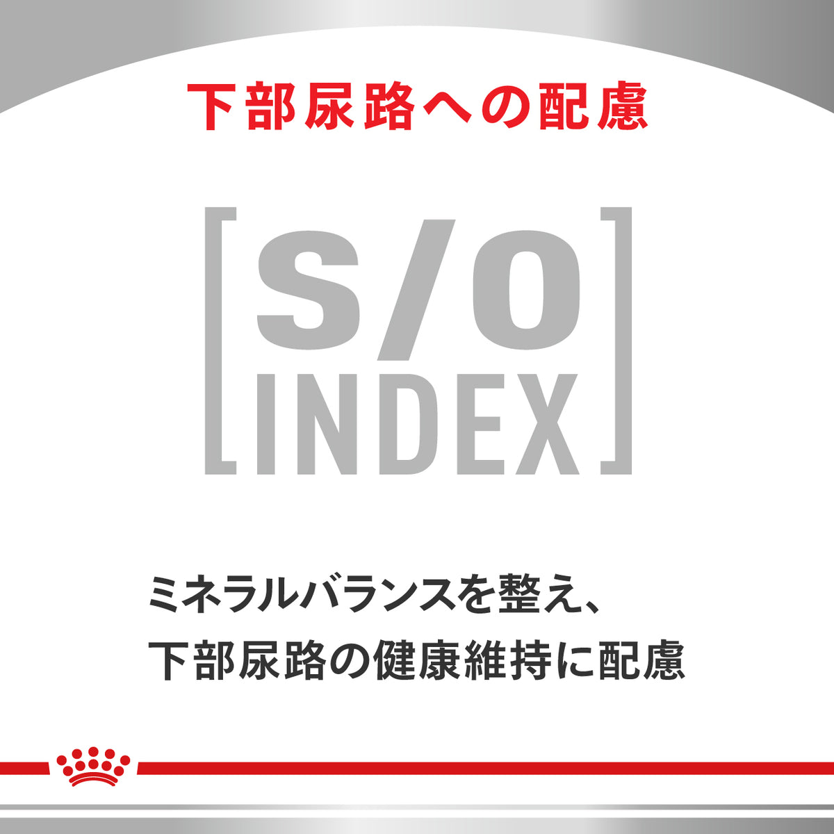 猫用 消化器サポート 可溶性繊維 パウチ 85g×12