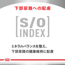猫用 消化器サポート 可溶性繊維 パウチ 85g×12