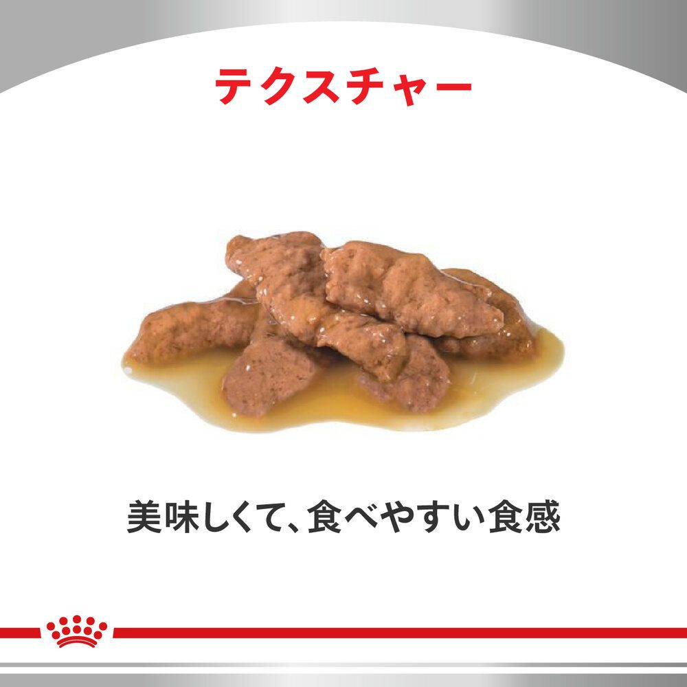 猫用 糖コントロール アドバンスト 85gx12