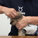 耳クサイヤーシート 30枚