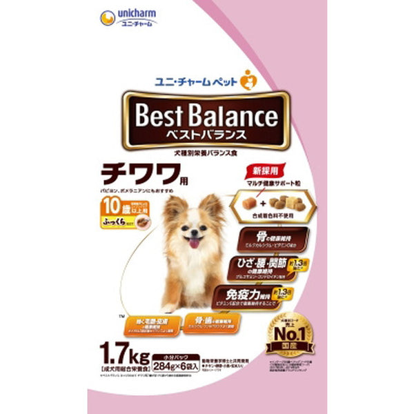 Best Balance Chihuahua 10 years old Plump 1.7Kg